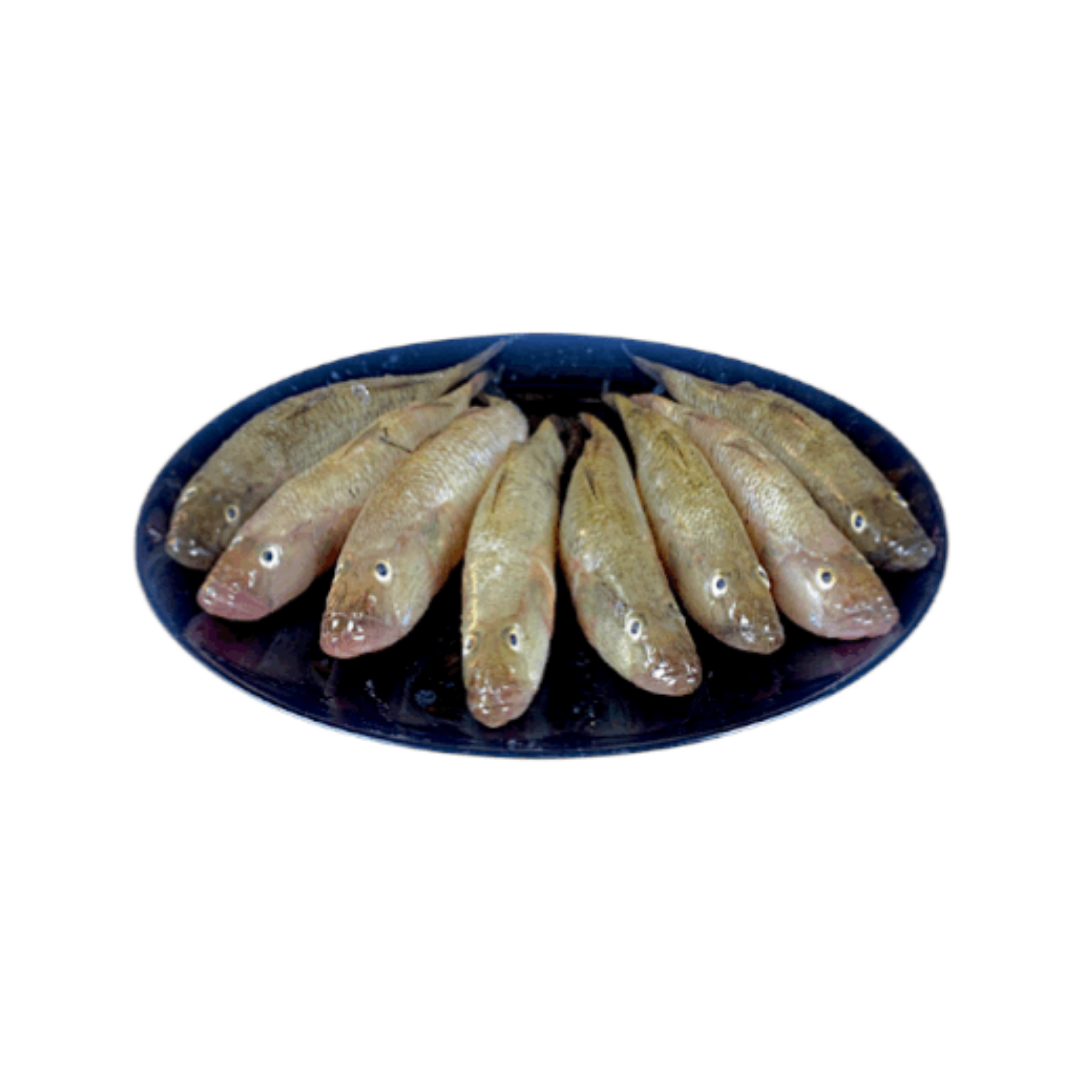 Baby Baila fish Baila (Block 500gm) - Image 1