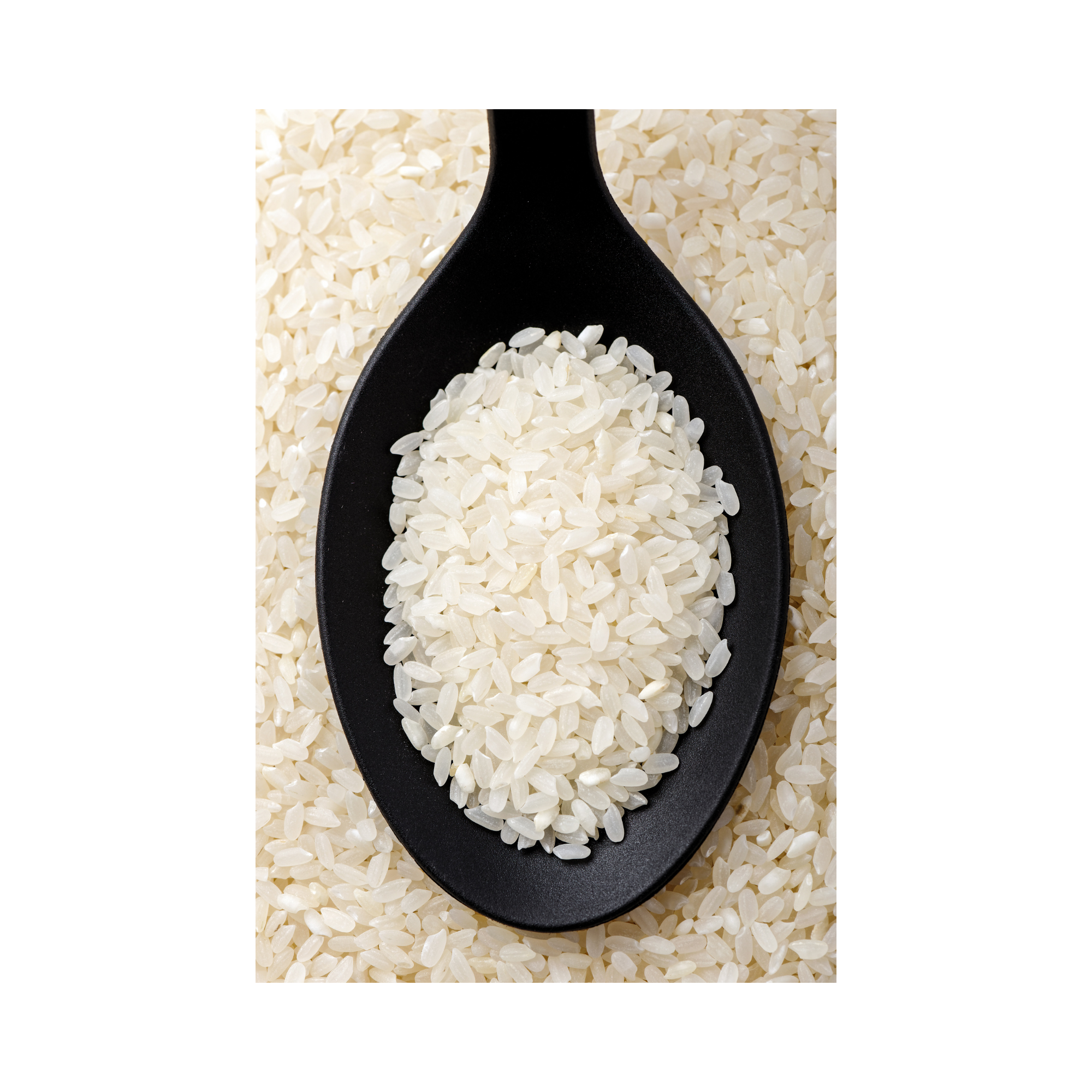 Calrose Rice California Calrose Rice California - Image 1