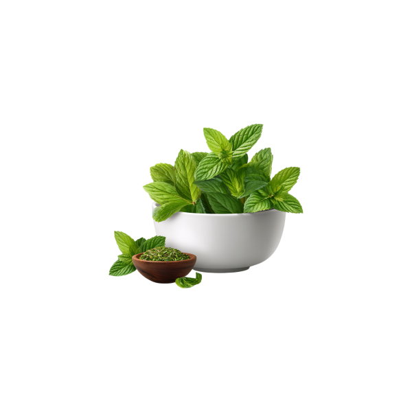 Fresh Mint