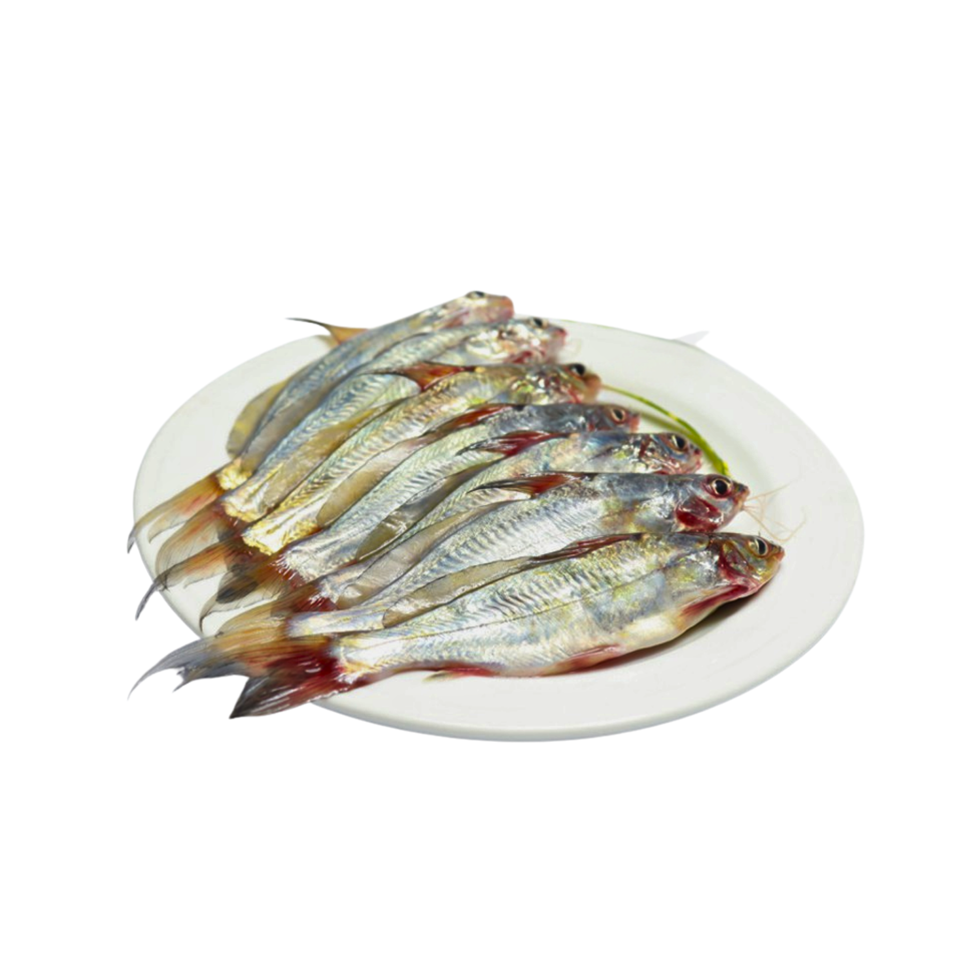 Gulsha fish Gulsha (Block 500gm) - Image 1