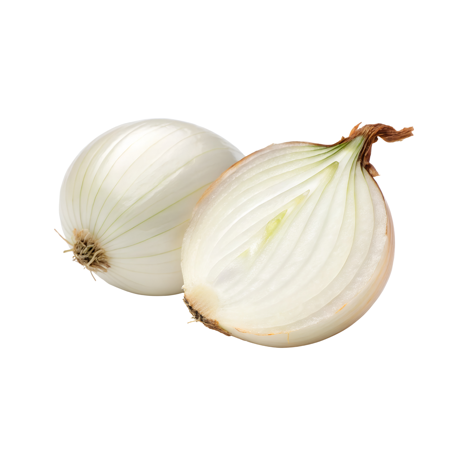 Onion (Japan) Onion Japan - Image 1