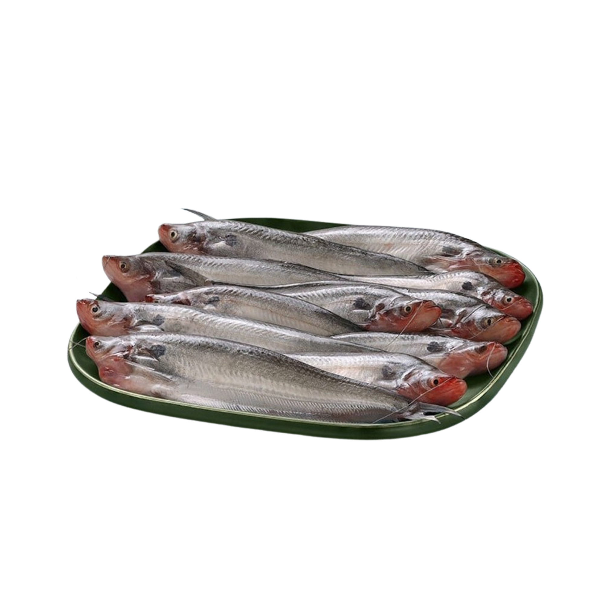 Pabda Fish Pabda Fish - Image 1