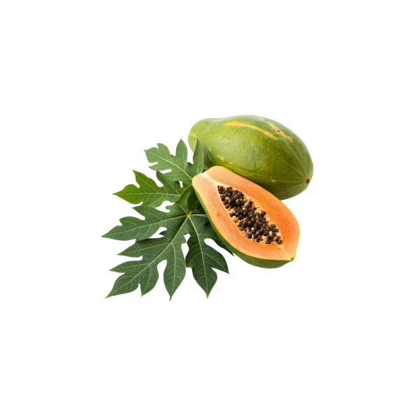 Papaya