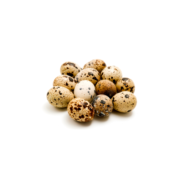 Quail eggs