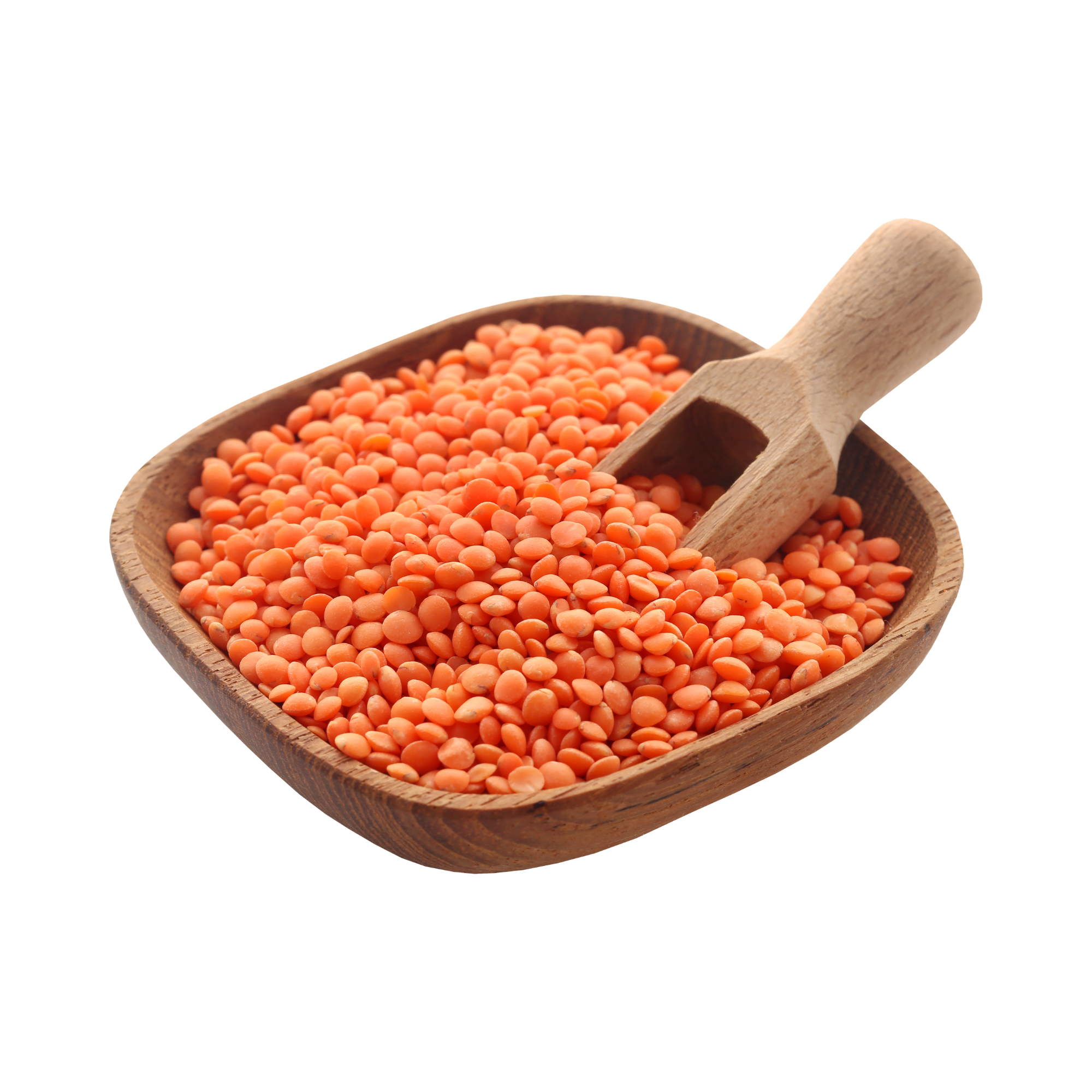 Red lentil (Moshur Dal) Red lentil Moshur Dal - Image 1