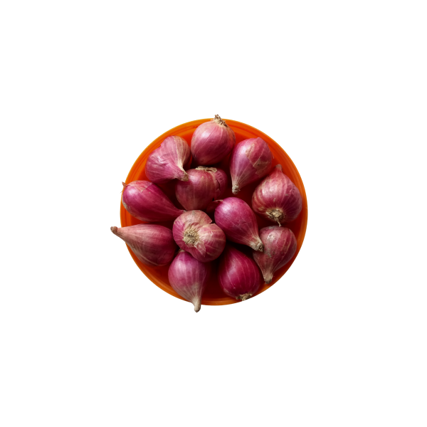 Red shallot