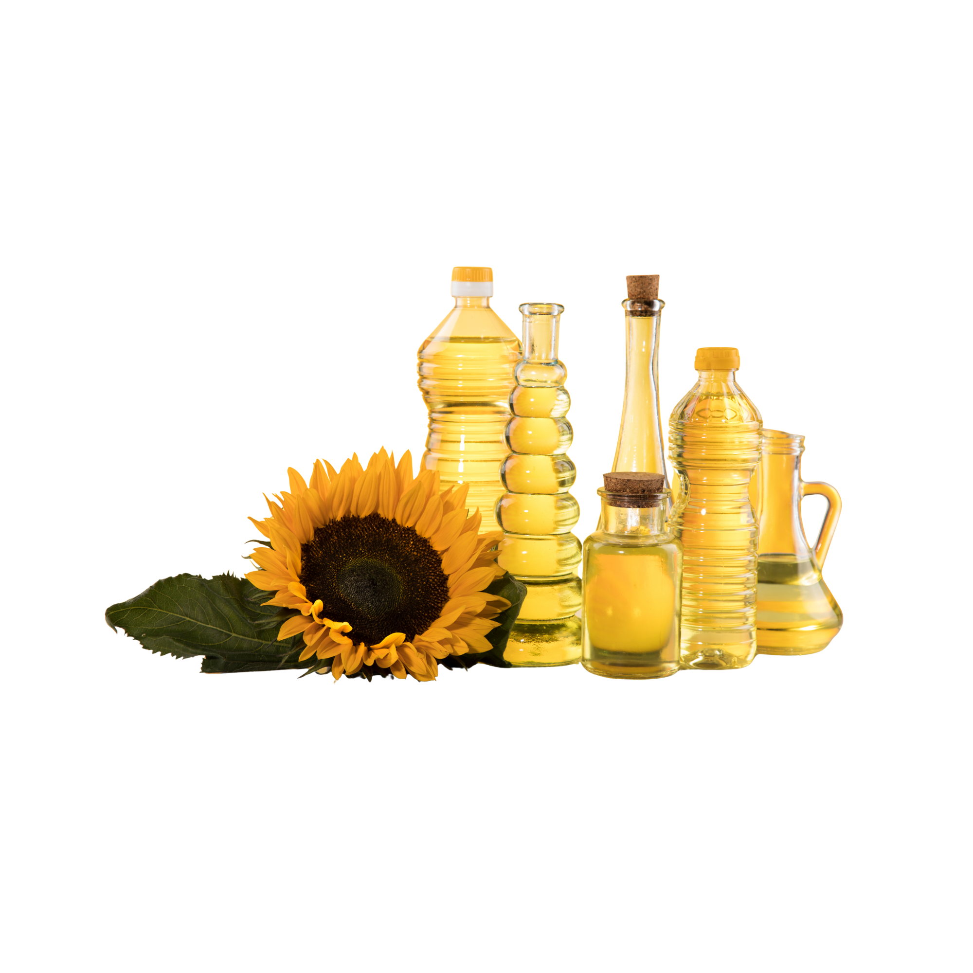 Sunflower oil Sunflower oil - Image 1