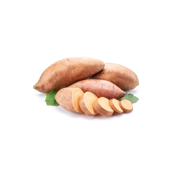 Sweet Potato