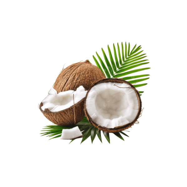 Coconut