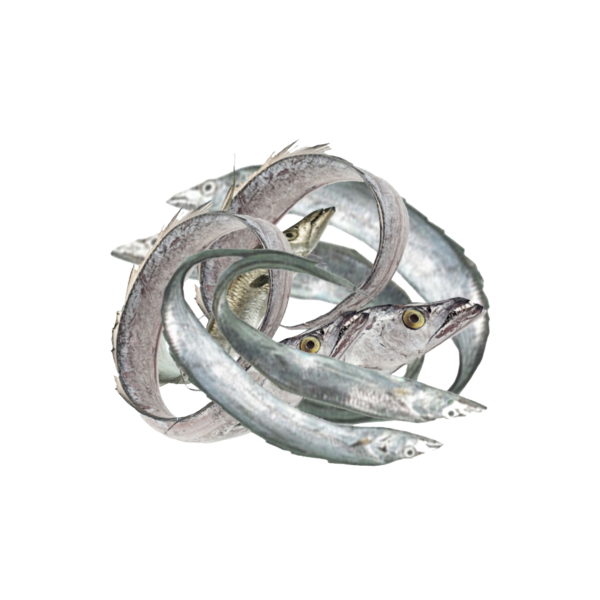 Dry Churi Fish