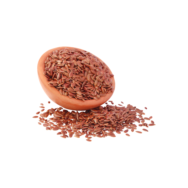 Flax Seeds