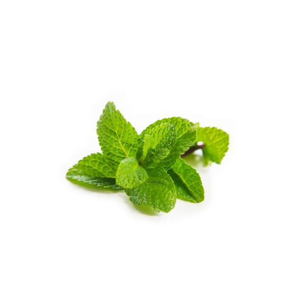 Mint Leaves