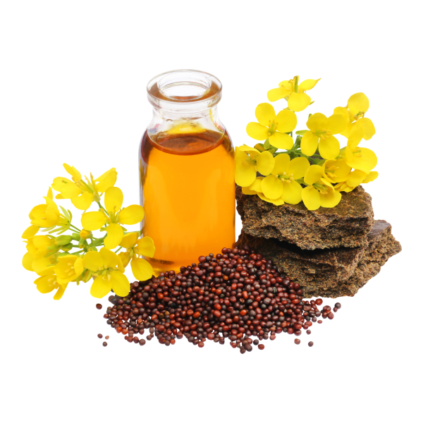 Mustard Oil (Ovijat/Hamdard) 1L