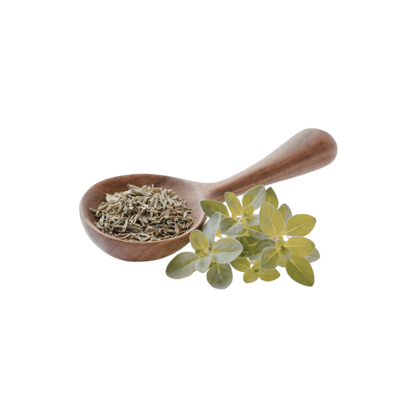 Oregano