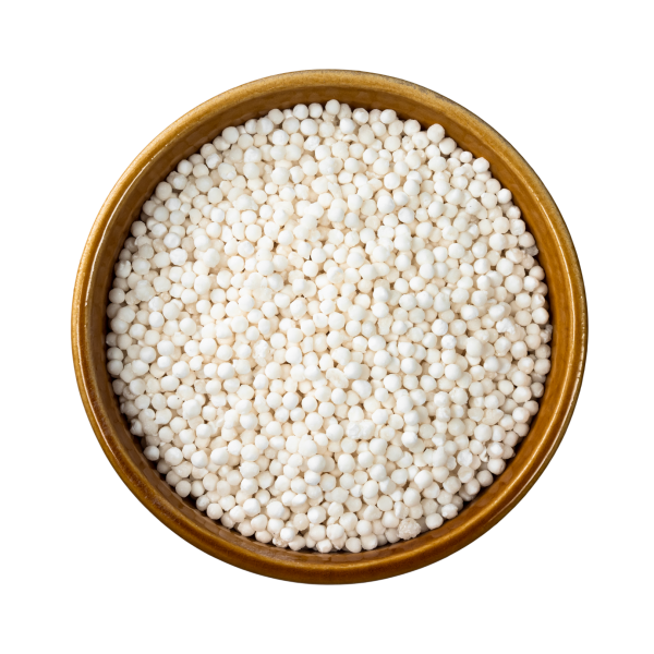 Sago Seeds